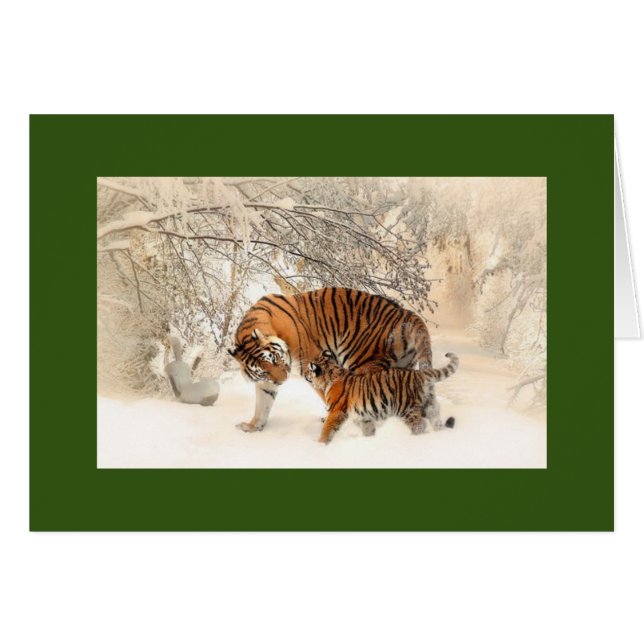 MADONNA ET CUB TIGERS DANS LA CARTE DE SALUT DE NE (Devant horizontal)