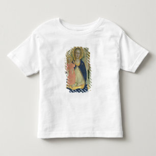 Madonna und Kind, die mit Heiligen inthronisiert Kleinkind T-shirt