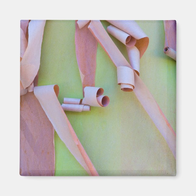 Madrone Tree Bark Abstrakt Magnet (Vorne)