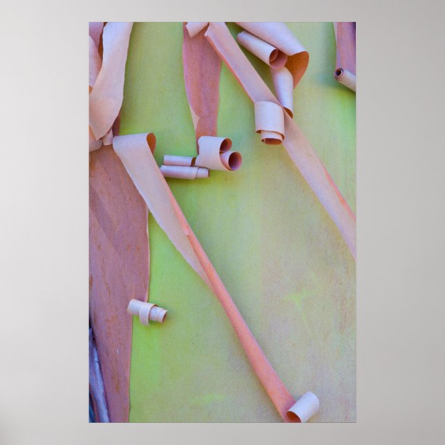 Madrone Tree Bark Abstrakt Poster (Vorne)