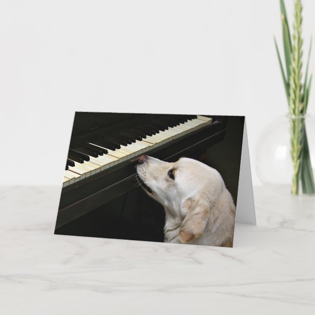 Maestro Karte (Vorderseite)