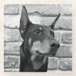 Mag ich Ihr Gesicht lecken Glasuntersetzer