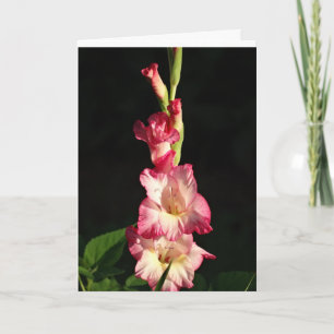 Mag Ihr Herz, Gladiola froh sein Karte
