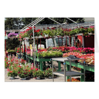 magasin de fleurs