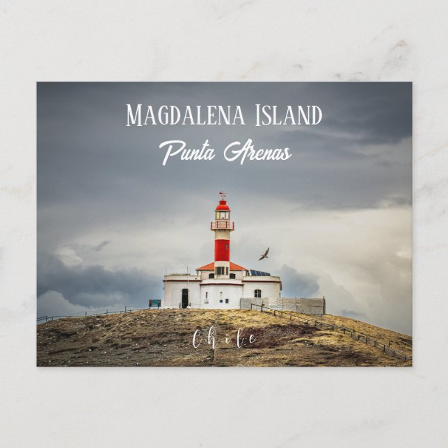 Magdalena Island Leuchtturm Postkarte (Vorderseite)