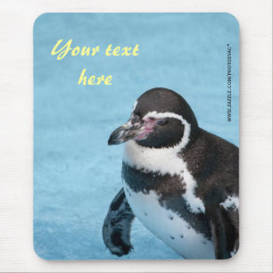 Magellan-Pinguin-Mauspad Mousepad