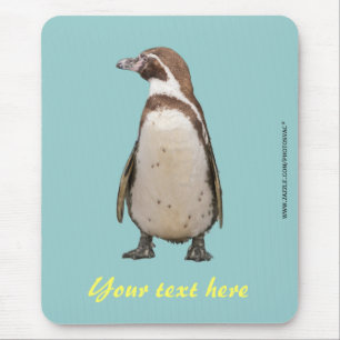 Magellan-Pinguin-Mauspad Mousepad