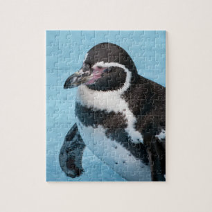 Magellan-Pinguin-Puzzle