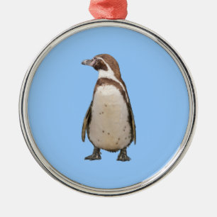 Magellan-Pinguin-Schmuckstück Silbernes Ornament