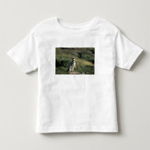 Magellan-Pinguin (Spheniscus magellanicus), Kleinkind T-shirt