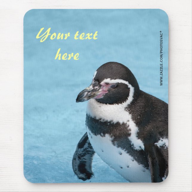 Magellanic Penguin Mousepad (Vorne)