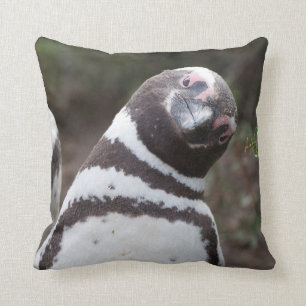 Magellanic Pinguin-Porträt Kissen