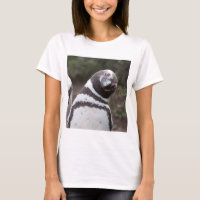 Magellanic Pinguin-Porträt