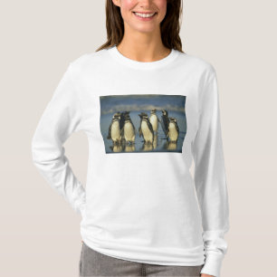 Magellanische Pinguine, Spheniskus T-Shirt
