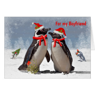 Magellanische Weihnachtskarte BOYFRIEND