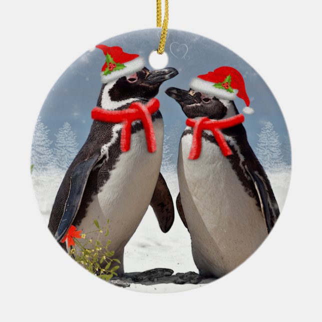 Magellanischer Weihnachtsschmuck (Vorne)