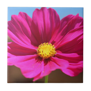 Magenta-Blüte Fliese