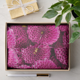 Magenta Chrysanthemum Floral Tissue Seidenpapier