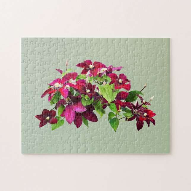 Magenta Clematis mit Wein (Horizontal)