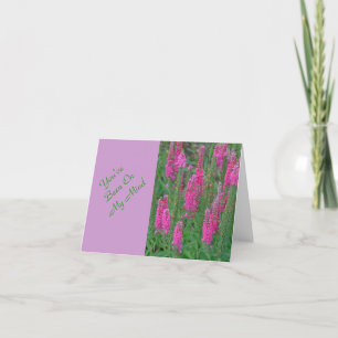 MAGENTA COLORED LUPINE BLUME KARTE
