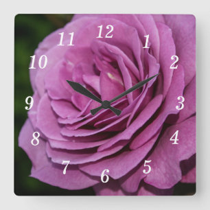 Magenta Garden Rose Horloge murale