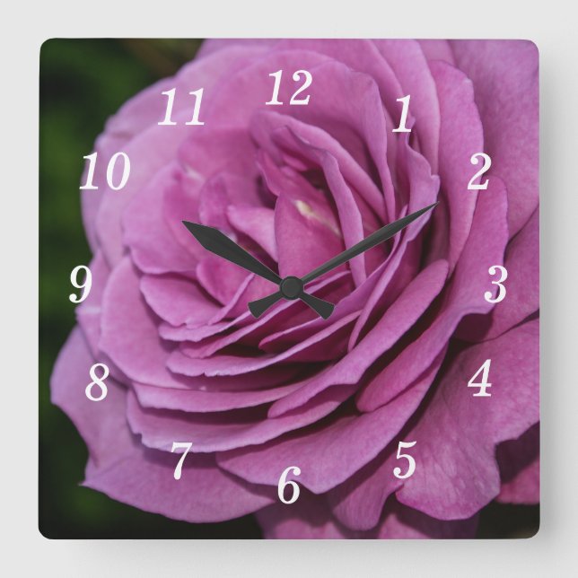 Magenta Garden Rose Uhr (Vorderseite)