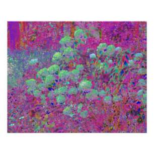 Magenta-Garten mit aquafarbenen Hortensienblüten Poster