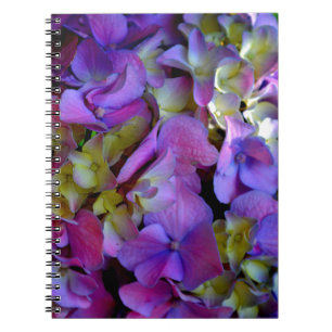 Magenta Lila-blaugelbe Hydrangeas-Blume Notizblock