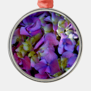 Magenta Lila-blaugelbe Hydrangeas-Blume Silbernes Ornament