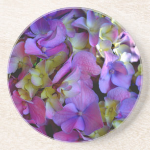 Magenta Lila-blaugelbe Hydrangeas-Blume Untersetzer