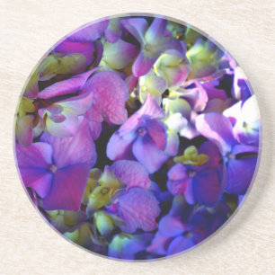 Magenta Lila-blaugelbe Hydrangeas-Blume Untersetzer