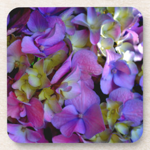 Magenta Lila Hydrangeas Lila-gelb Getränkeuntersetzer