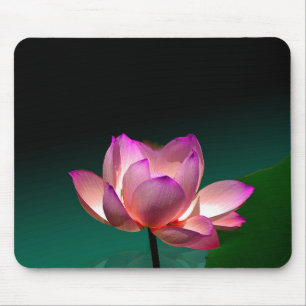 Magenta Lotus in voller Blüte, Mauspad