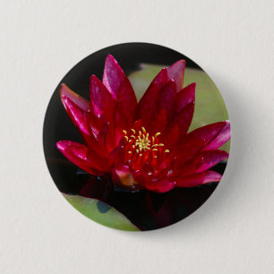 Magenta Lotus Wasserlilie Button