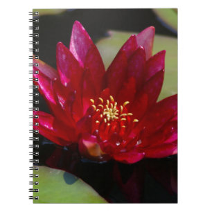Magenta Lotus Wasserlilie Notizblock