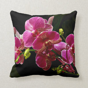 Magenta Orchideen im Blut Kissen