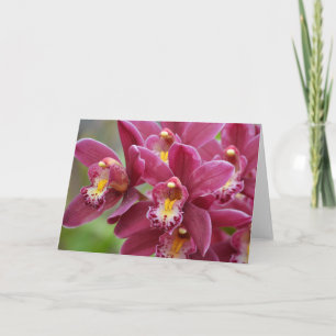 Magenta Orchids Blank Note Card Karte