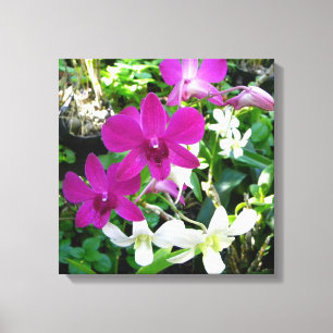 Magenta Orchids Wrapped Canvas Leinwanddruck