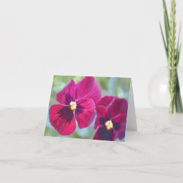 Magenta Pansy Blume aus dem Garten Gertie Karte