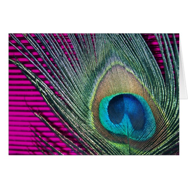 Magenta Peacock mit Schlangen (Vorderseite (Horizontal))