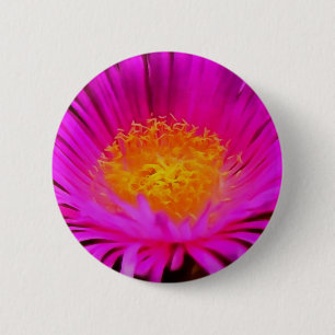Magenta Pink Aster Blume Kunst Button