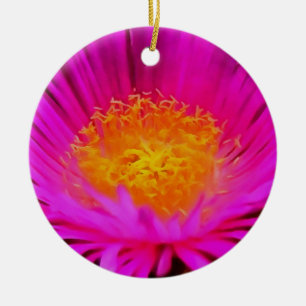 Magenta Pink Aster Blume Kunst Keramik Ornament