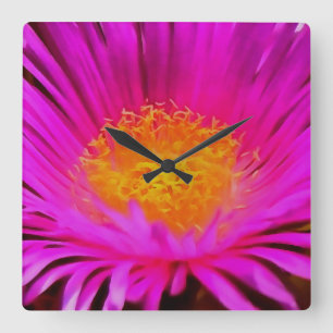 Magenta Pink Aster Blume Kunst Quadratische Wanduhr