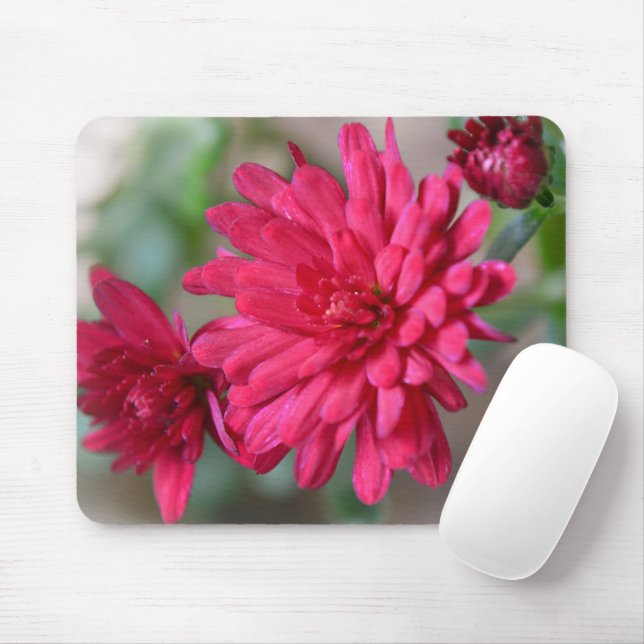 Magenta Pink Mum Blume Maus Pad Mousepad (Mit Mouse)