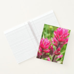 Magenta Pinselblume Blüten Floral Notizbuch