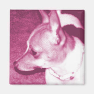 Magenta Pop Art Chihuahua Magnet