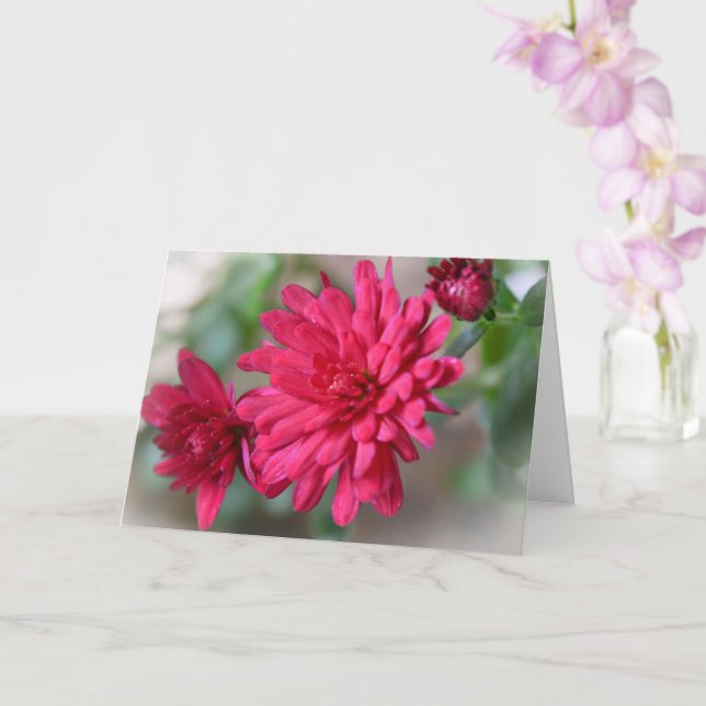 Magenta Rosa Mum Blume Kunst Karte (Orchidee)