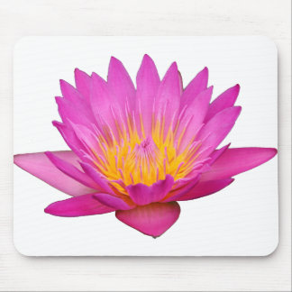 Magentarote Wasserlilie 2 Mousepad
