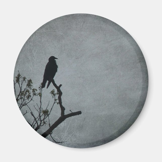 Magestic Crow Magnet (Vorne)