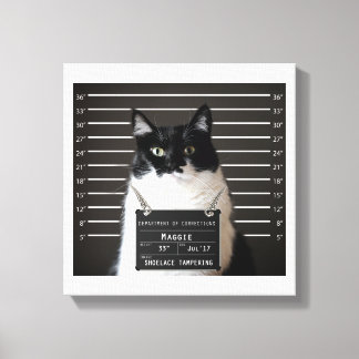 Maggie Cat Tasse Shot Leinwanddruck